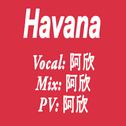 Havana（cover Camila Cabello; Young Thug）专辑