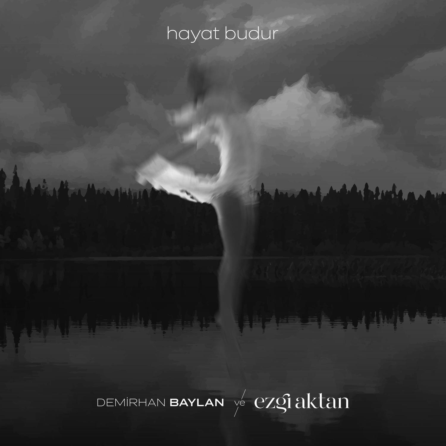 Hayat Budur