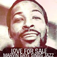 Marvin Gaye - Your Precious Love (karaoke)