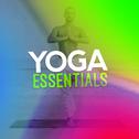 Yoga Essentials专辑