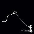 The Kite