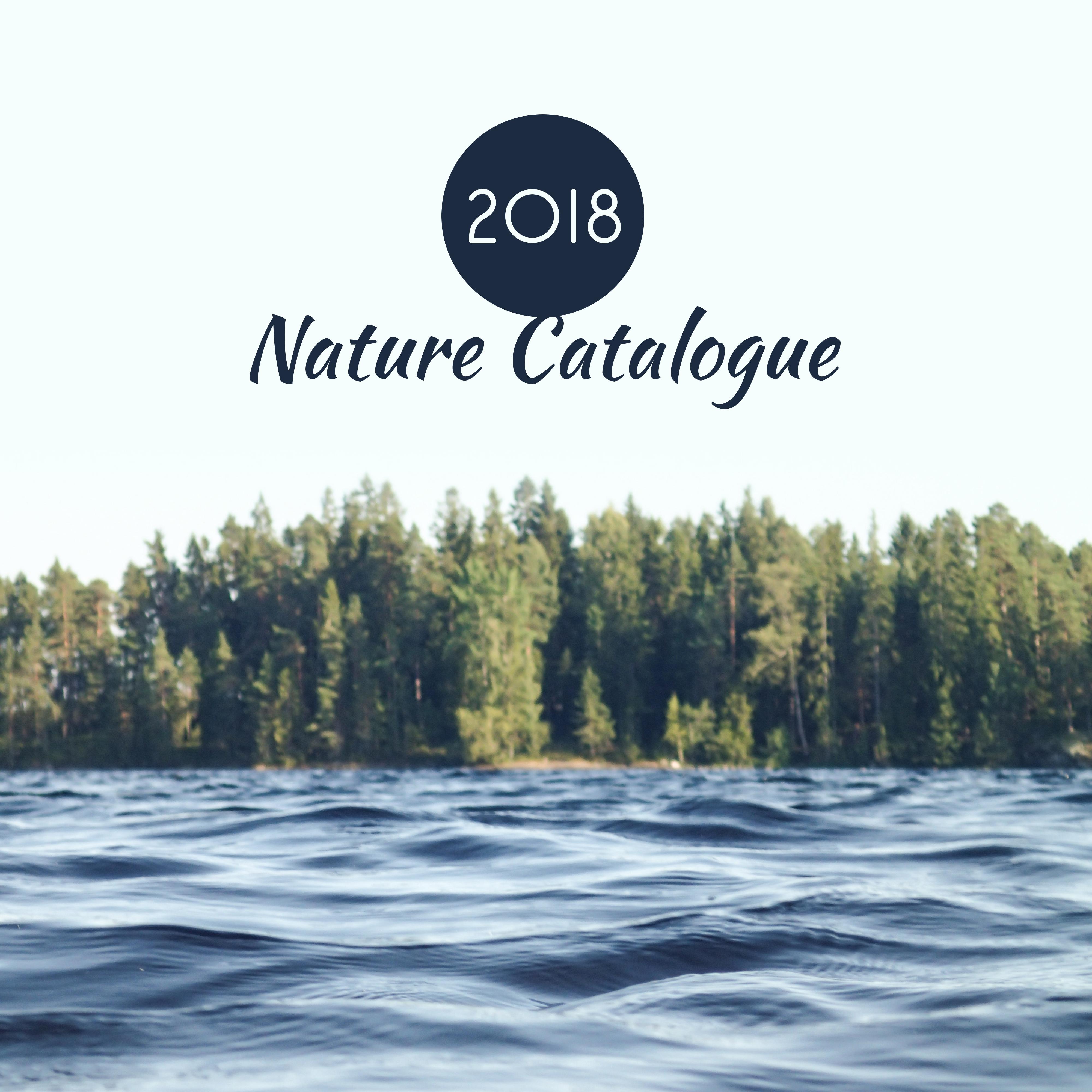 2018 Nature Catalogue专辑