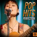 Pop Hits Perfection专辑