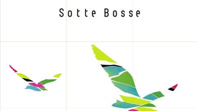 Sotte Bosse