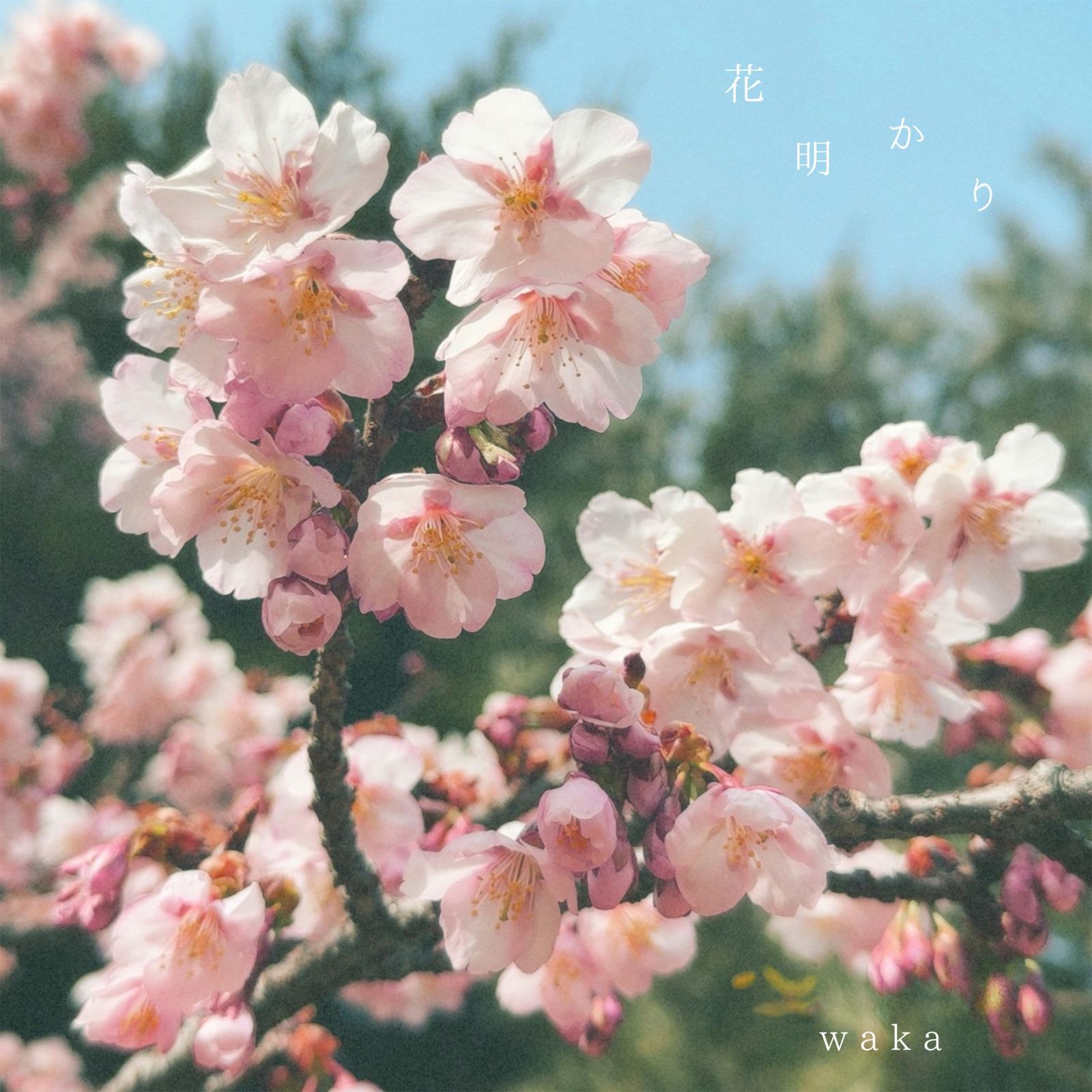 花明かり
