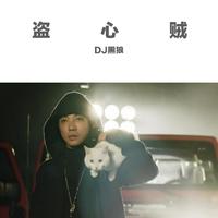 盗心贼（2019时尚嘉宾EDM电音舞曲资料）B版 男嘉宾伴奏