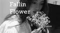 Fallin Flower（Piano ＆ Violin）专辑