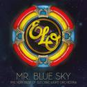 Mr. Blue Sky: The Very Best of Electric Light Orchestra专辑