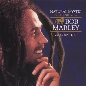 Bob Marley - Who the Cap Fit (Karaoke Version) 带和声伴奏