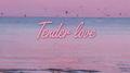 Tender love专辑