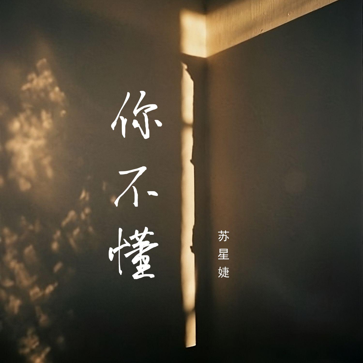 你不懂
