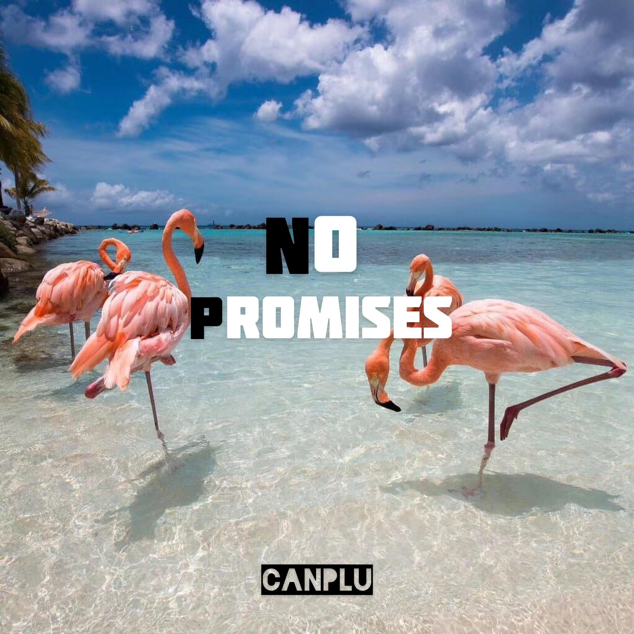 Cheat Codes-No Promises（CanPlu remix）