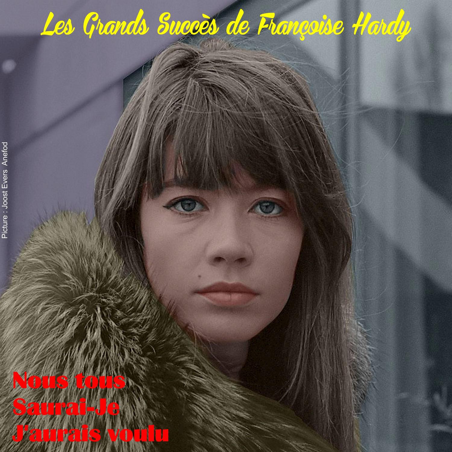 Les grands succès de Françoise Hardy专辑