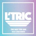 The Way You Are (Max Liese Remix)专辑