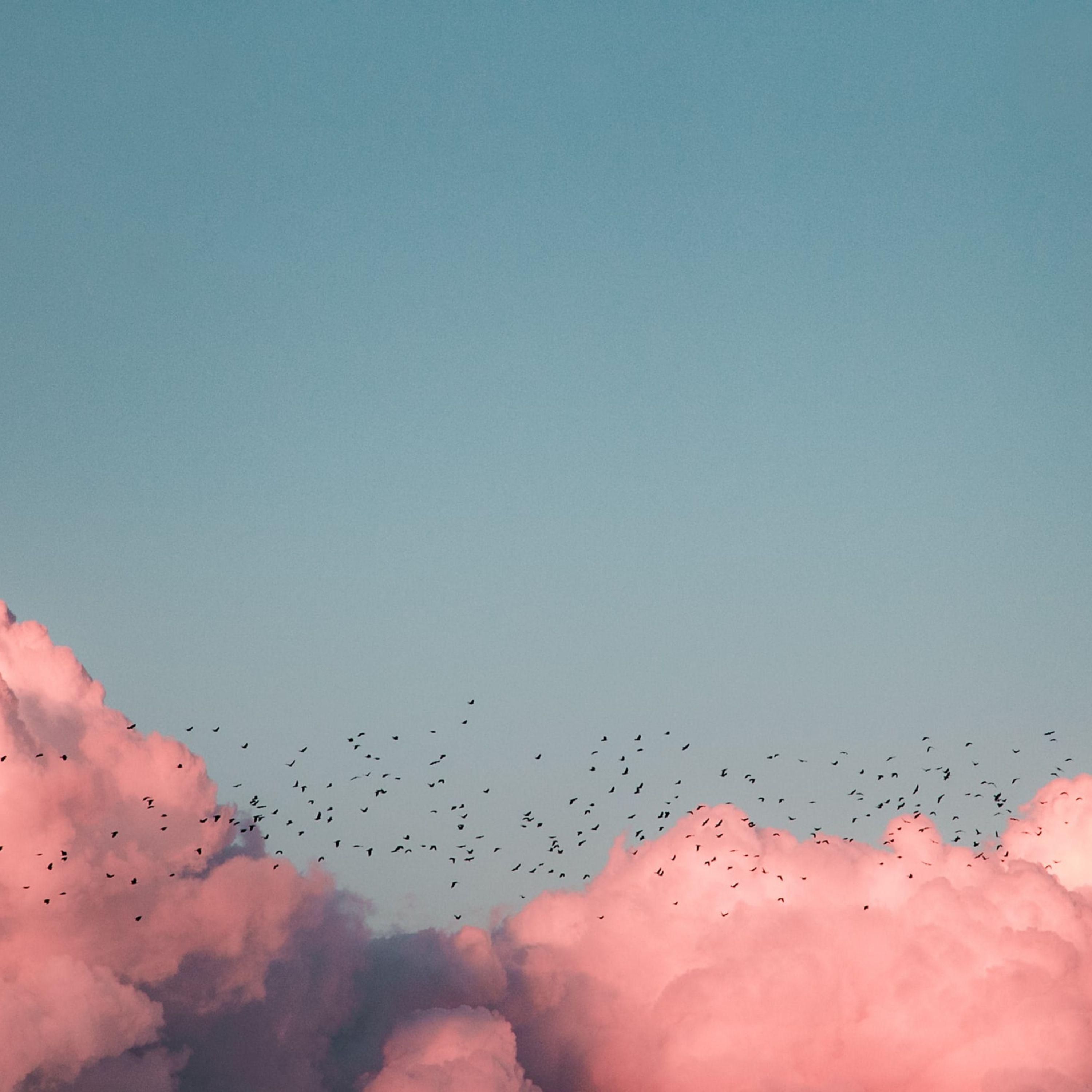 Powerful Sounds | Complete Serenity