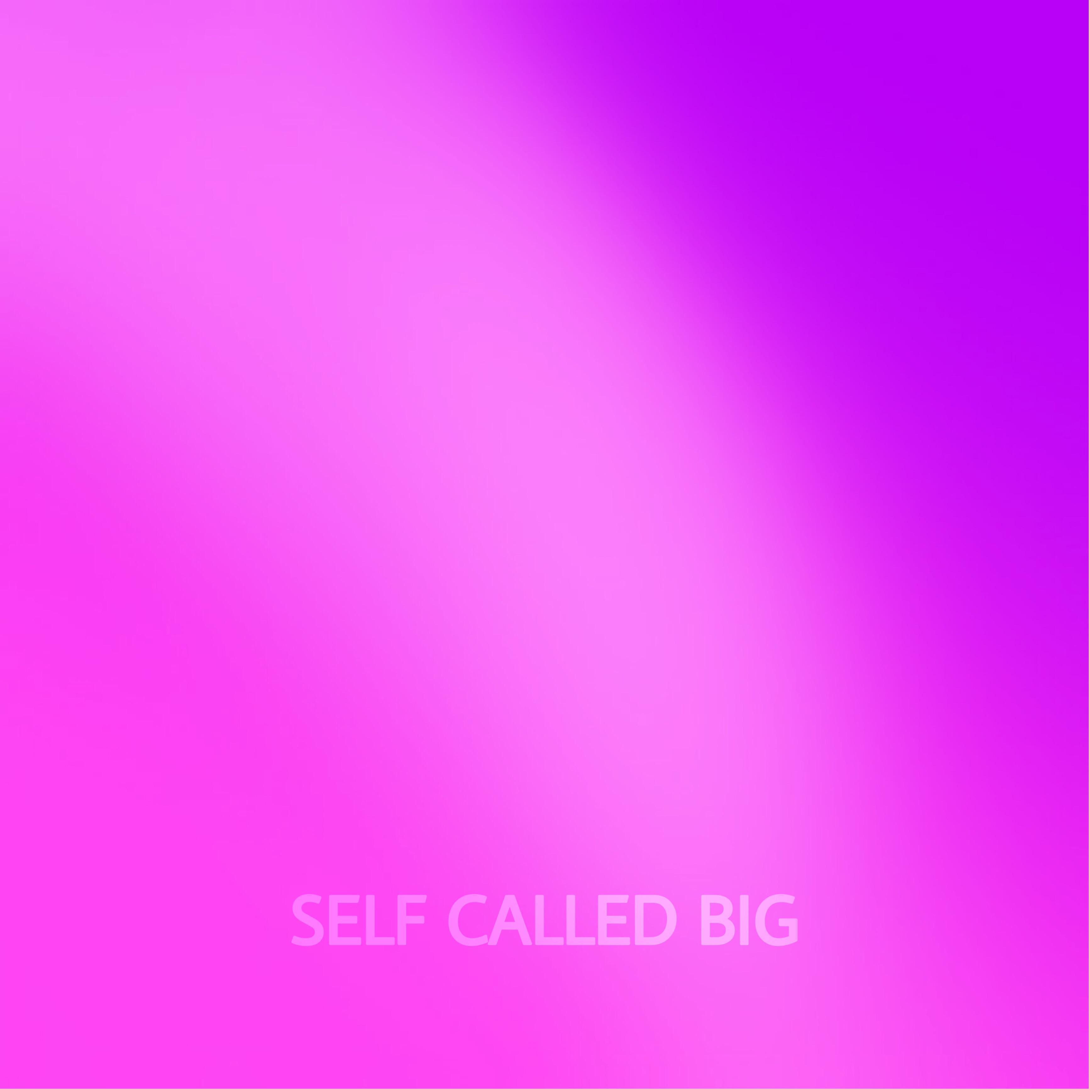 SELF CALLED BIG专辑