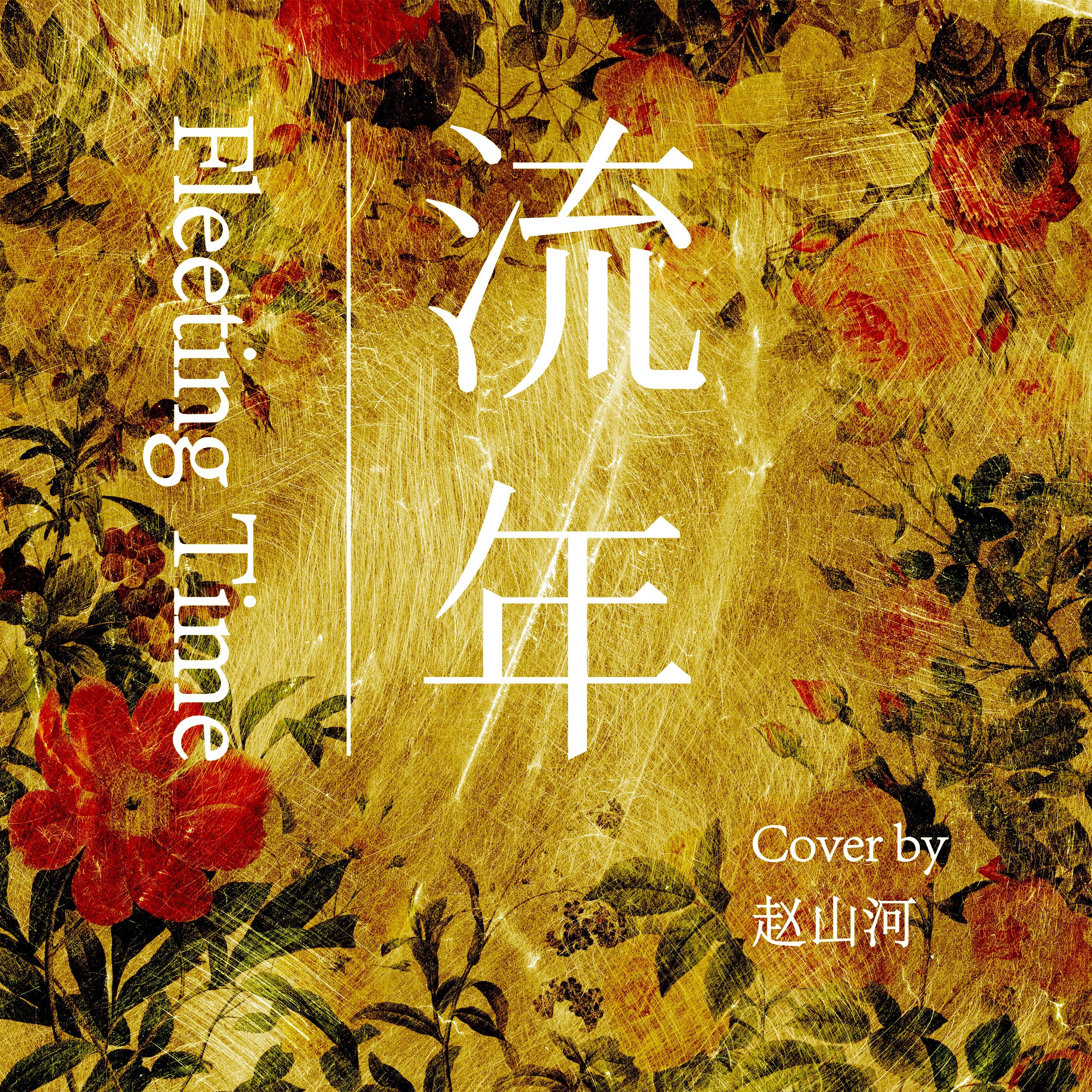 流年Cover