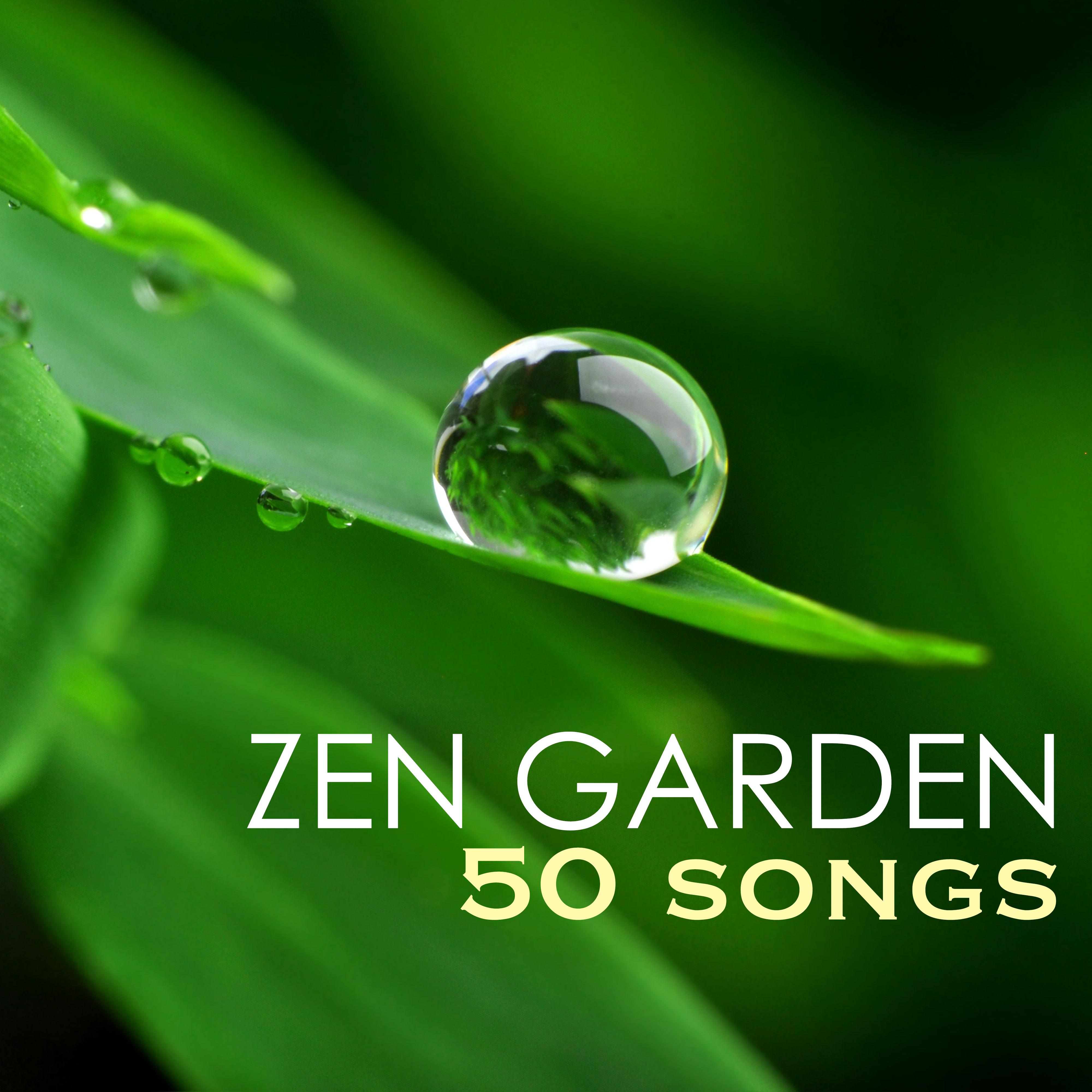 Zen Garden - Serenity Spa Music Relaxation, 50 Sounds of Nature Deep Sleep Lullabies专辑