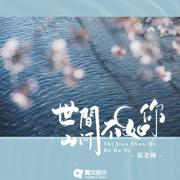 世间山河不如你