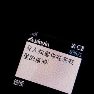 我终于可以不再爱你了