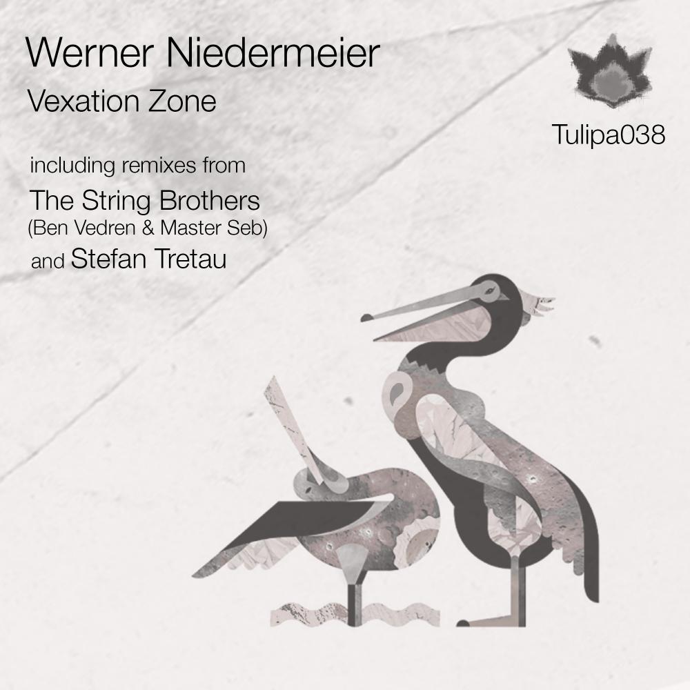 Werner Niedermeier - Drama Zone (Original Mix)