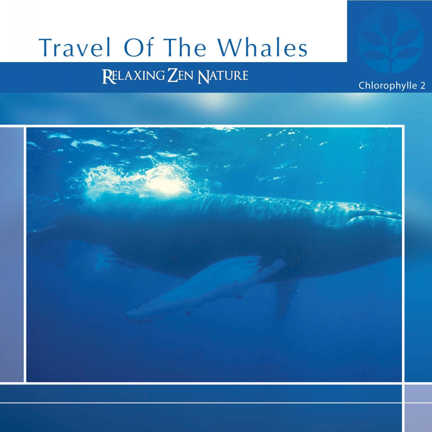 Chlorophylle II Travel of the Whales