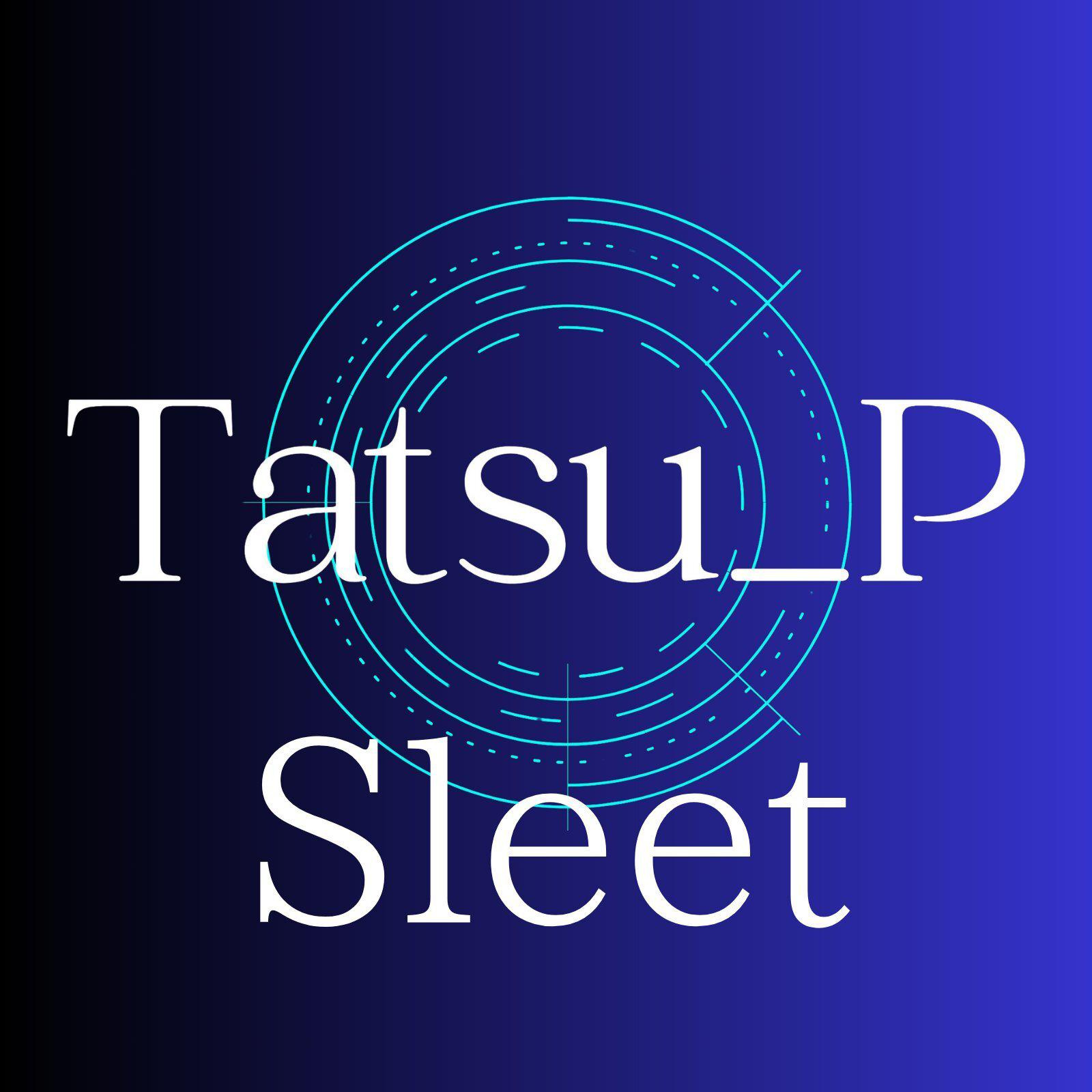 Sleet专辑