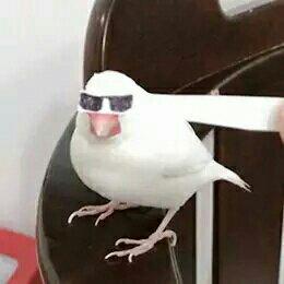 【杂】肝画摸鱼专用