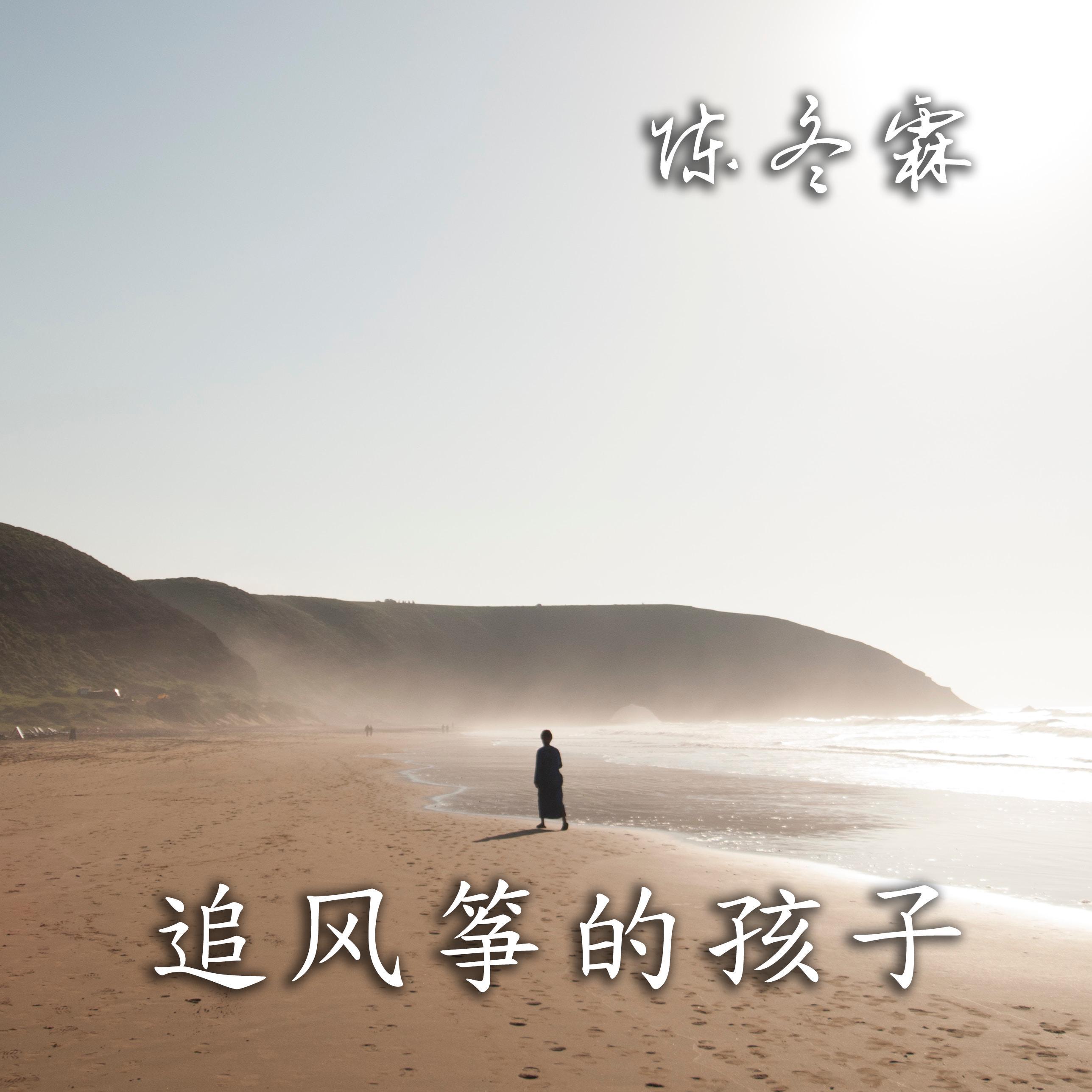 追风筝的孩子