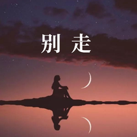 不要走 - 贾晓晨