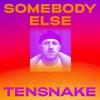 Tensnake - Somebody Else