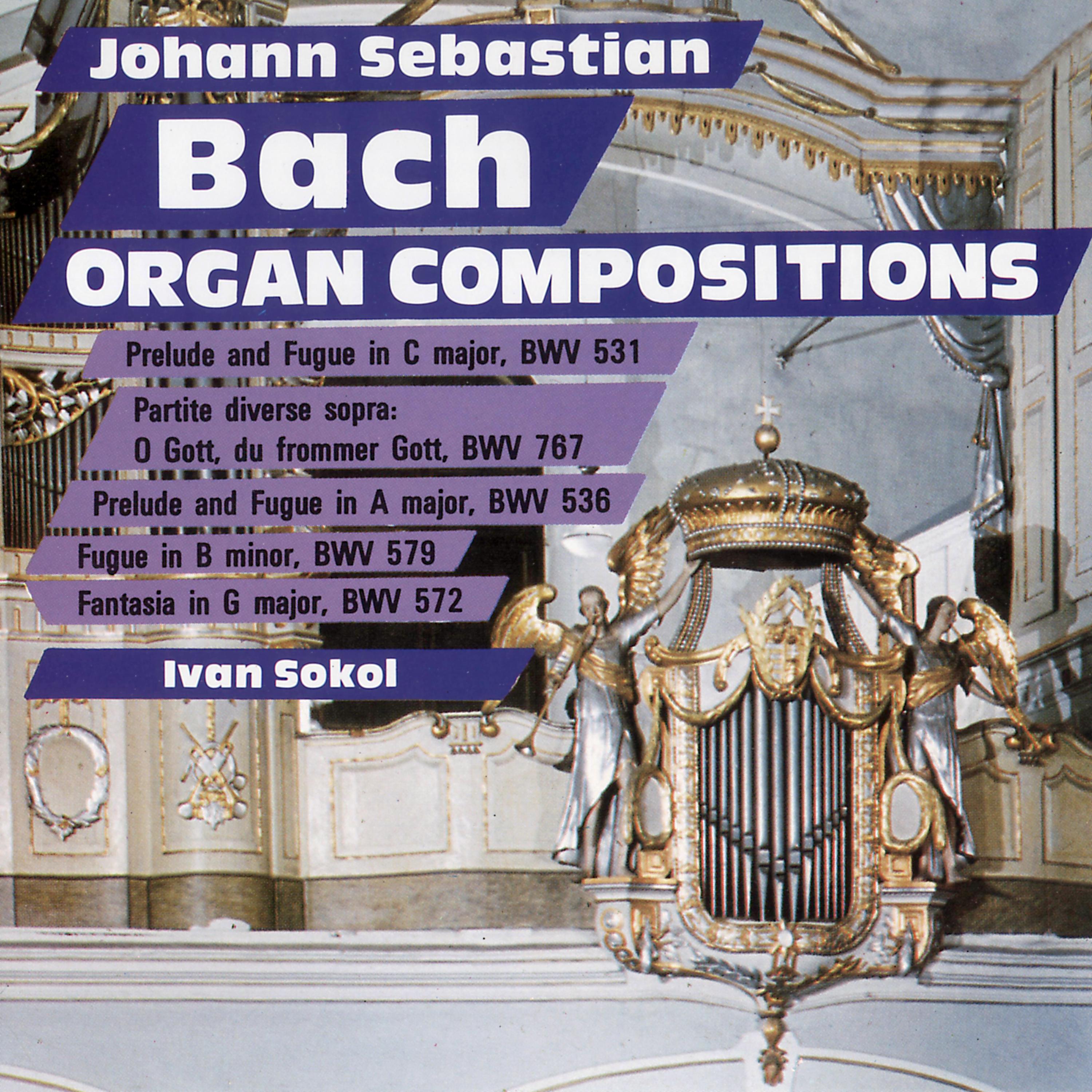 Organ Compositions 3