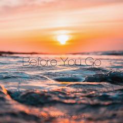 Before You Go (Pastision Bootleg)