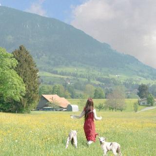 欢快小调 | 用26℃的诗来赶走忧郁