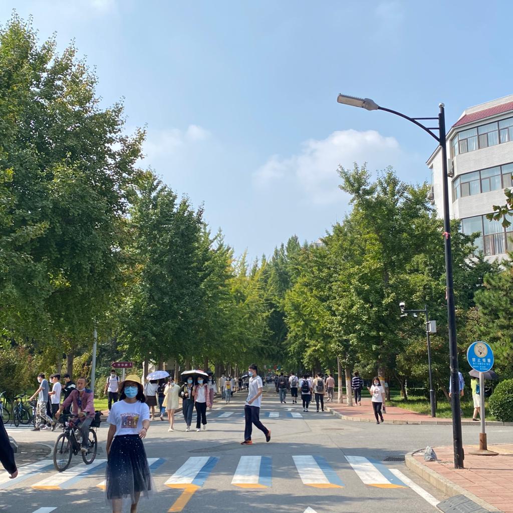 关于北京交通大学