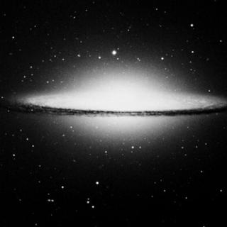 你在放荡的孤独中闪光