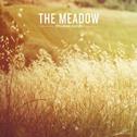 The Meadow专辑