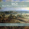 Helmut Walcha at the Schnitger Organ专辑
