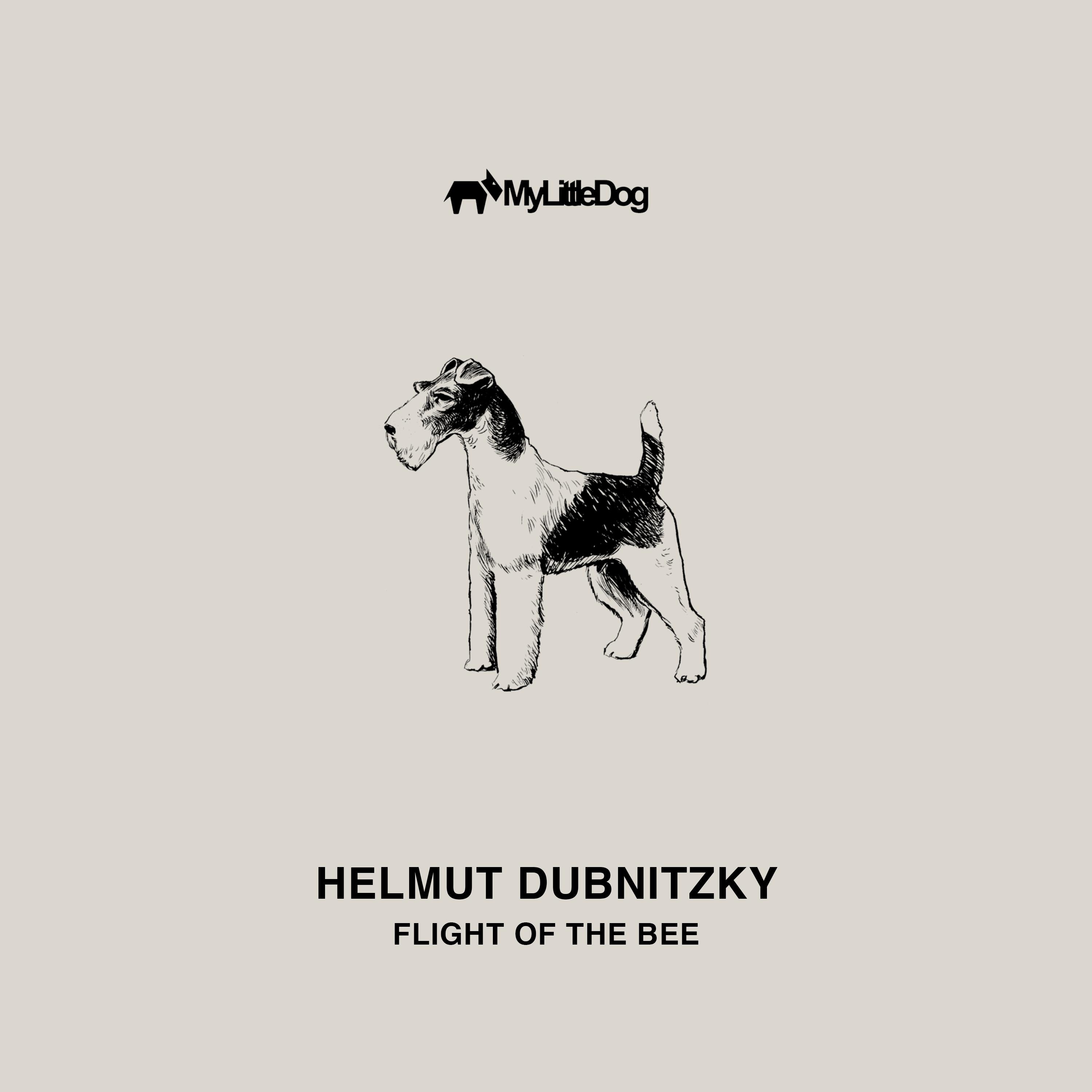 Flight of the Bee