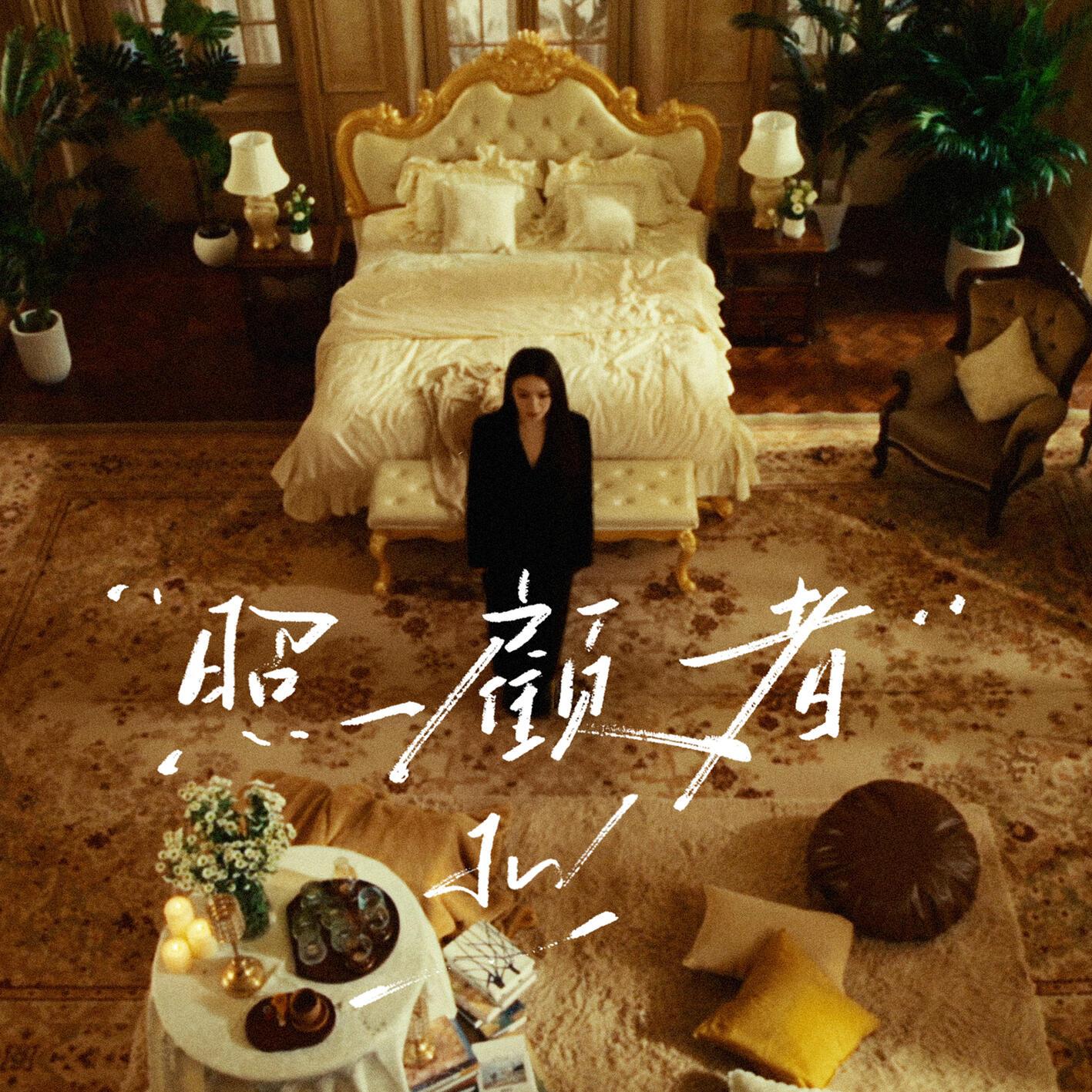照顾者