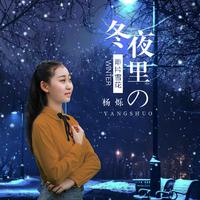 [消音伴奏] 杨烁 - 冬夜里的那片雪花 伴奏