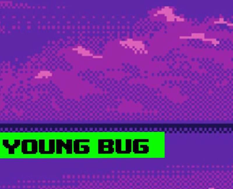 Young BUG专辑