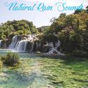 15 Natural Rain Sounds for Meditation专辑