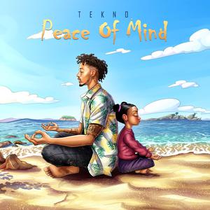 Tekno - Peace Of Mind (Instrumental) 原版无和声伴奏 （降1半音）