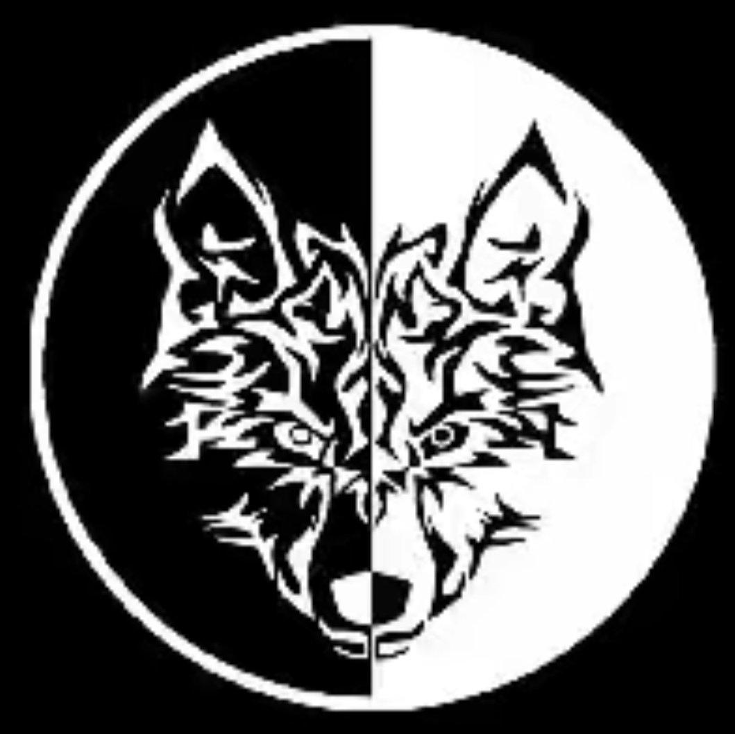 China wolf Aus