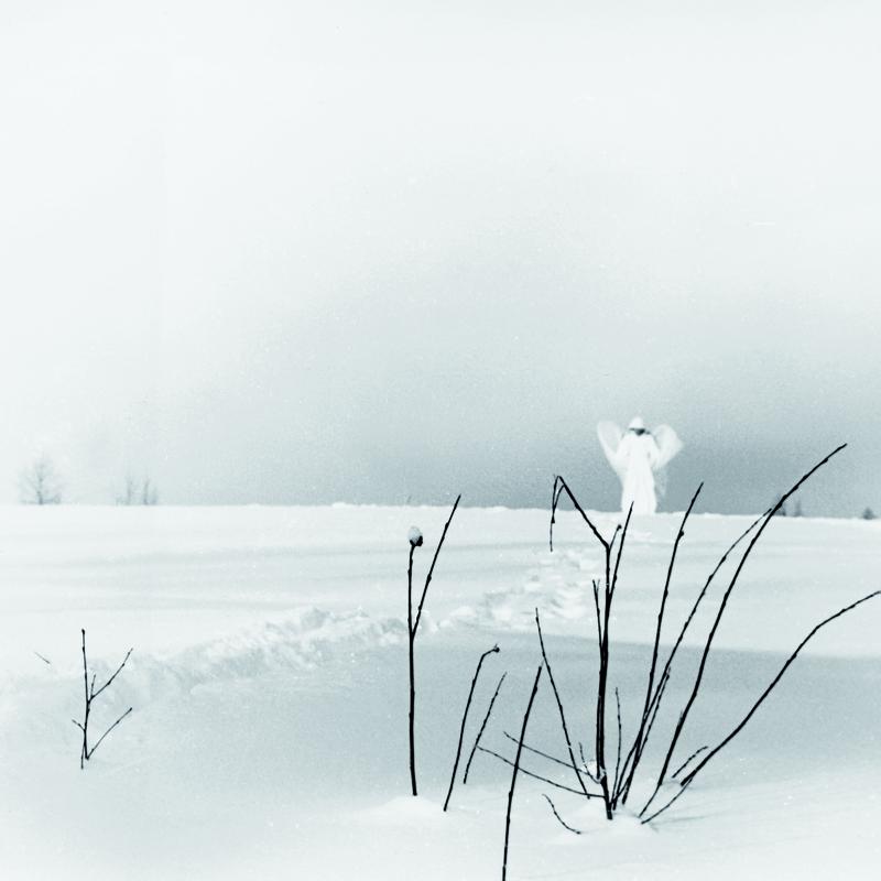 In Frostigen Tälern