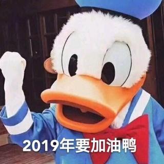 传播正能量、2019为了梦想冲鸭
