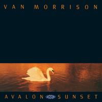 Van Morrison - Have I Told You Lately (karaoke)