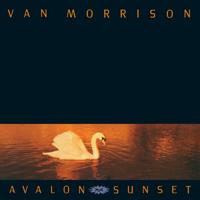 Have I Told You Lately - Van Morrison (unofficial Instrumental)