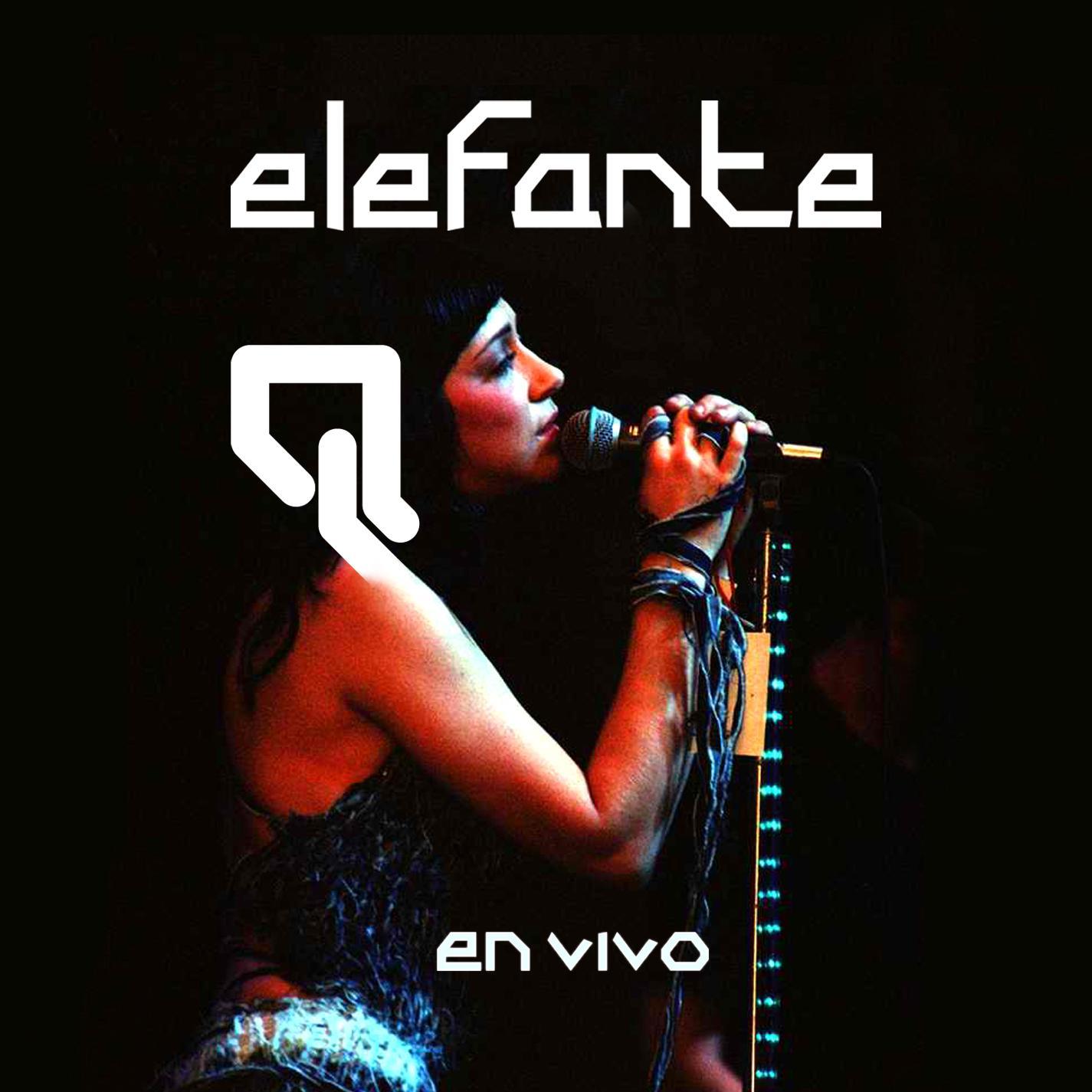 Elefante en vivo